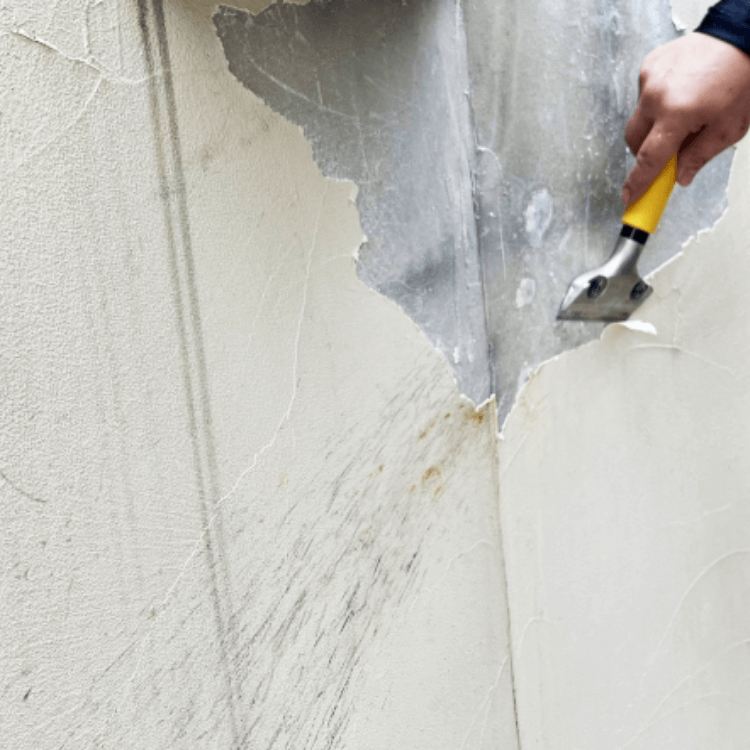 天井、壁ボード貼替⼯事